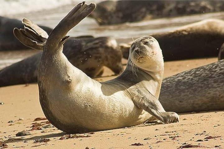 Relaxing Chalet On Popular California Sands Short Stroll To Beach, Nr Norfolk Broads & Great Yarmouth Scratby Exteriér fotografie